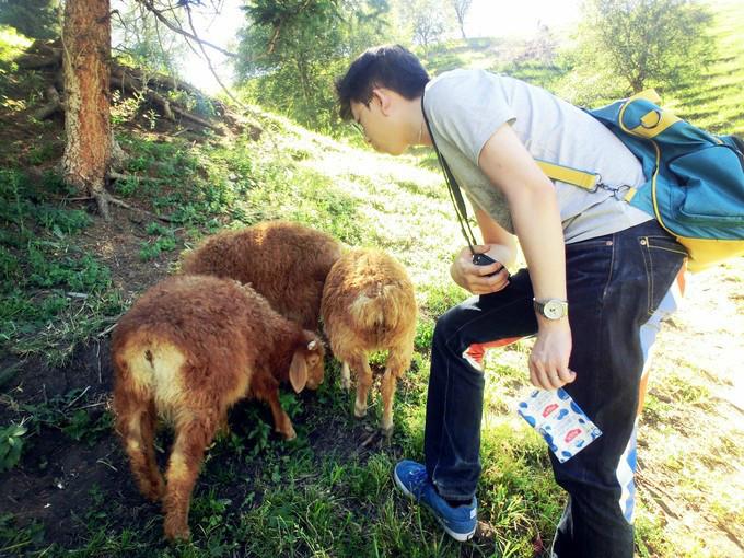 关于新疆的资料，新疆——有生之年，必来之地