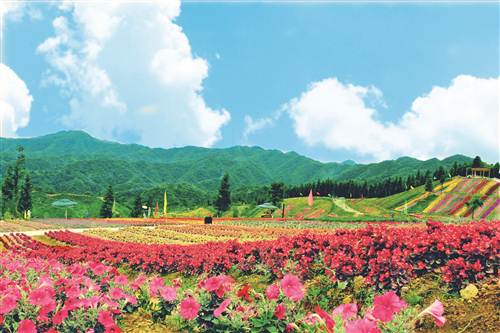 北纬30度中国行重庆，北纬三十度旅行日记（风情土家 康养石柱）