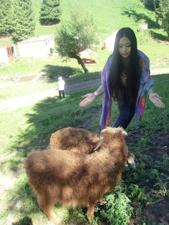 关于新疆的资料，新疆——有生之年，必来之地