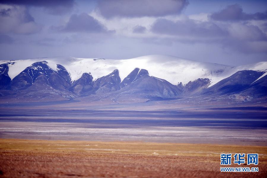 可可西里在哪里，中国青海省可可西里正式列入世界遗产名录