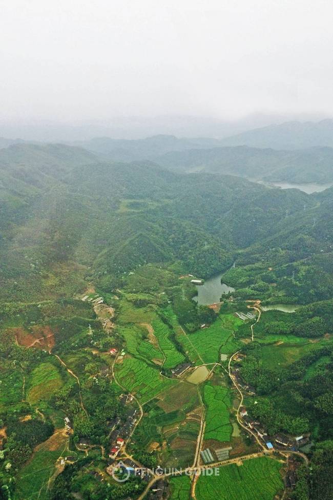 沙县在哪里，沙县小吃为什么这么火（看看真正的沙县小吃长什么样）