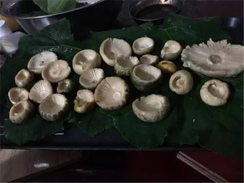 扫把菌怎么做好吃，扫把菌怎么洗（盘点最常吃的野生“界儿”）