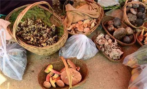 扫把菌怎么做好吃，扫把菌怎么洗（盘点最常吃的野生“界儿”）