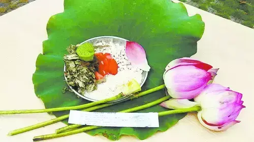 茯苓粉面膜的功效与作用，茯苓粉敷面膜（茯苓是个宝，常吃斑点少！）