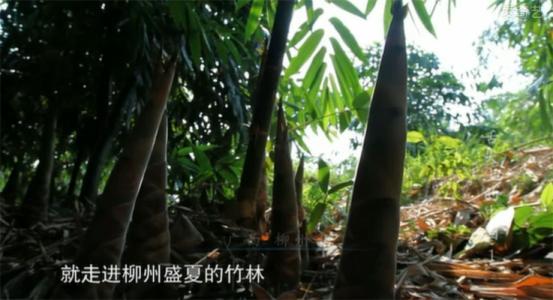 豆泡（豆泡拼音），为什么还有这么多人喜欢吃（豆泡儿的泡拼音是什么）