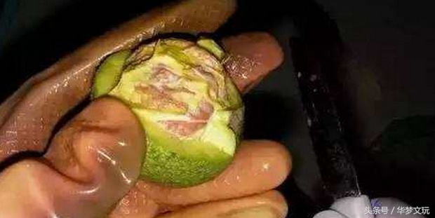 核桃青皮怎么去掉，如何去核桃的青皮（文玩核桃去青皮三大方法的利与弊）