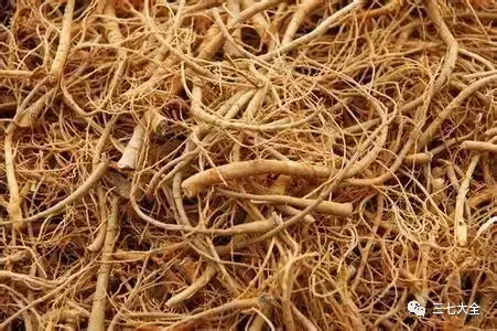 三七粉每日用量，三七粉的吃法与用量（吃的时候又该注意哪些问题）