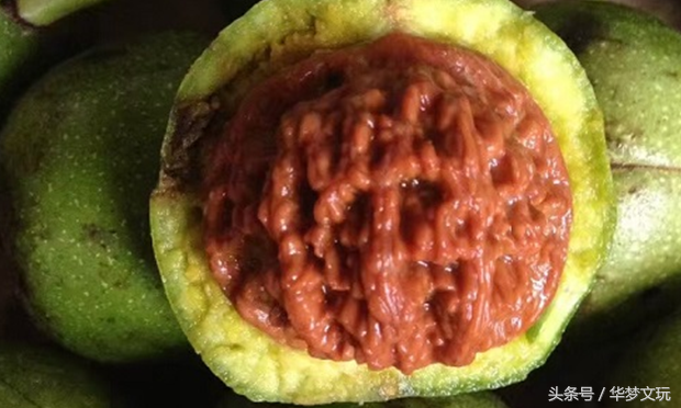 核桃青皮怎么去掉，如何去核桃的青皮（文玩核桃去青皮三大方法的利与弊）