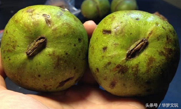 核桃青皮怎么去掉，如何去核桃的青皮（文玩核桃去青皮三大方法的利与弊）