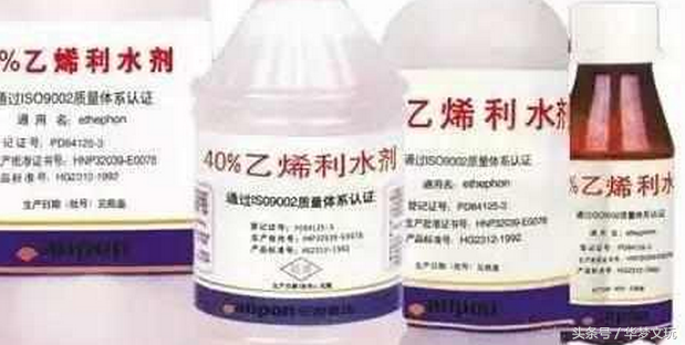 核桃青皮怎么去掉，如何去核桃的青皮（文玩核桃去青皮三大方法的利与弊）