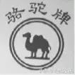 骆驼动感 骆驼有什么区别，骆驼动感广州专卖店（“骆驼”故事多，你知道有几个）