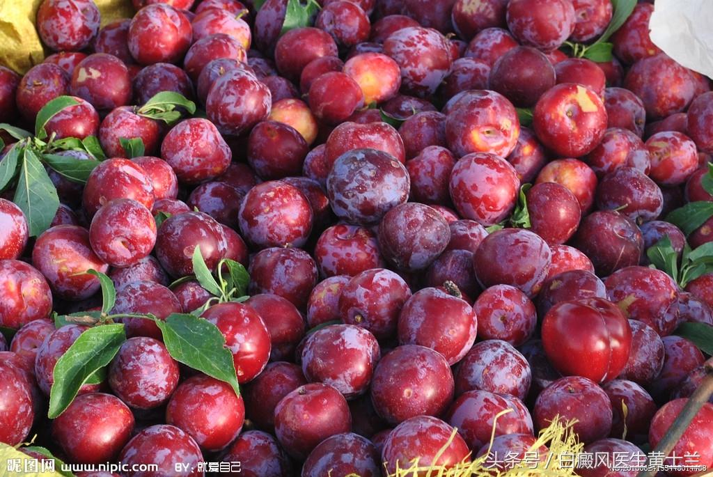 李子的功效和作用，李子的功效和作用孕妇（没想到身体居然发生了这样的变化）