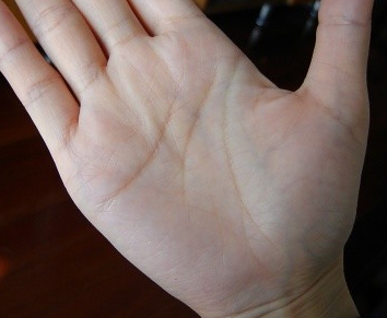 b,世间罕见的几种手纹,你见过吗?