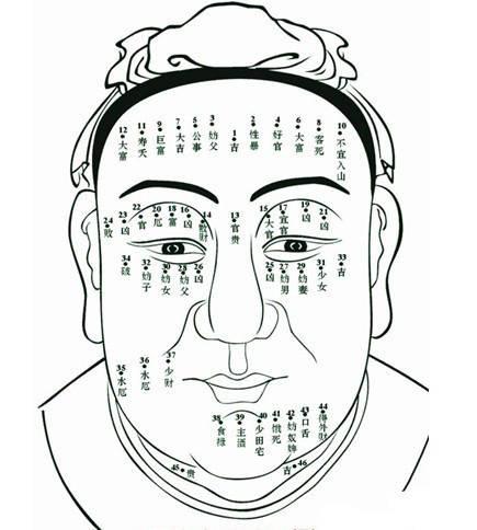 头顶上有痣代表什么意思,头发里长痣命运图解 - 珍缘易学