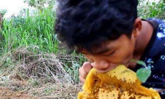 野蜂蜜怎么吃，野蜂蜜的功效与作用（农村小伙在路边无意捡到这个）