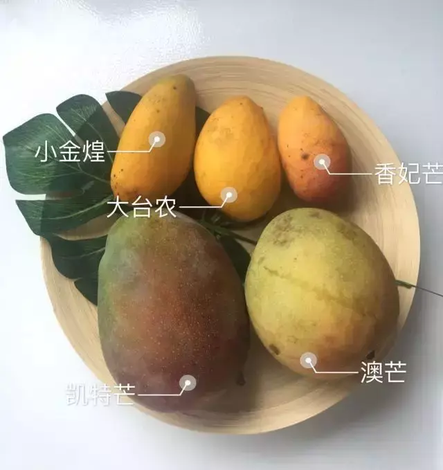 金煌芒和凯特芒的区别，最好吃的芒果品种排名（就为了告诉你哪种最好吃）