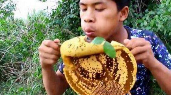野蜂蜜怎么吃，野蜂蜜的功效与作用（农村小伙在路边无意捡到这个）