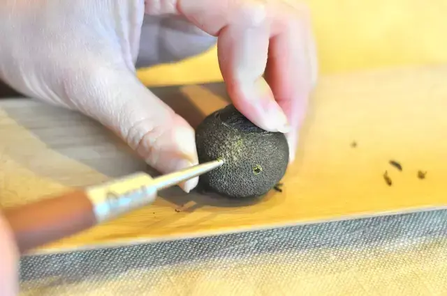 普洱茶小青柑普洱茶怎么喝，小青柑普洱茶怎样泡（史上最强小青柑泡法大全）