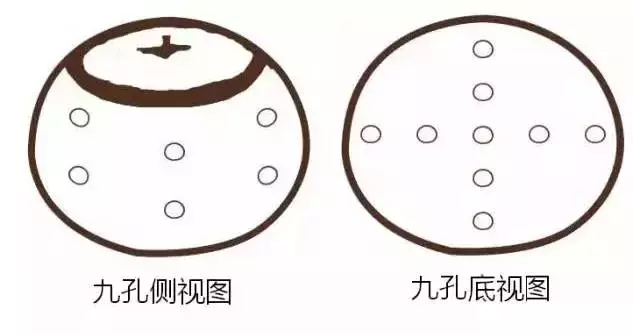 普洱茶小青柑普洱茶怎么喝，小青柑普洱茶怎样泡（史上最强小青柑泡法大全）