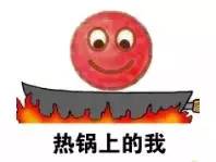 中国台风网实时路径，如何查询台风实时路径（台风“洛克”已经登陆）