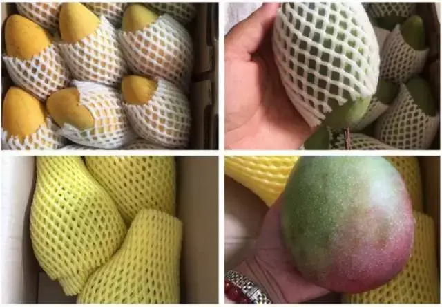 金煌芒和凯特芒的区别，最好吃的芒果品种排名（就为了告诉你哪种最好吃）