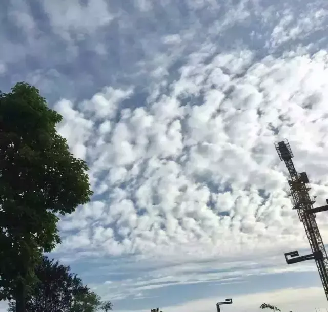 九天开出一成都是李白的哪首诗，九天开出一成都出自李白的哪首诗（李白“九天开出一成都”盛景再现）