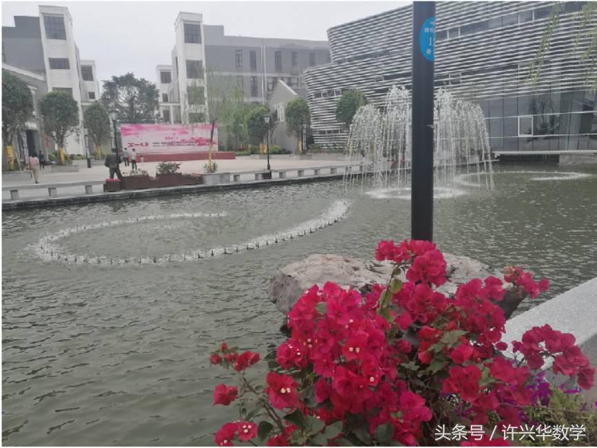 cotx，cotx是什么意思（综述函数的基本知识点）