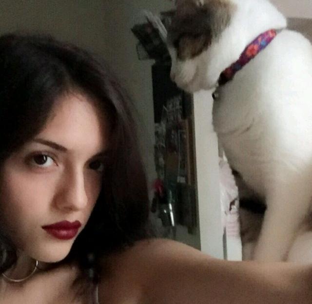 怎么查找对方情侣头像，寻找另一半情侣头像