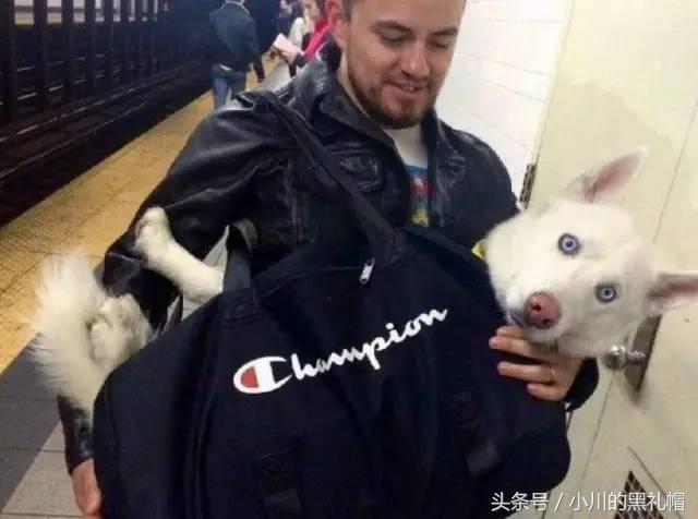 吸引人的包包店名，吸引人的包包店名字大全290个（大牌包包凹不出的情绪它可以）