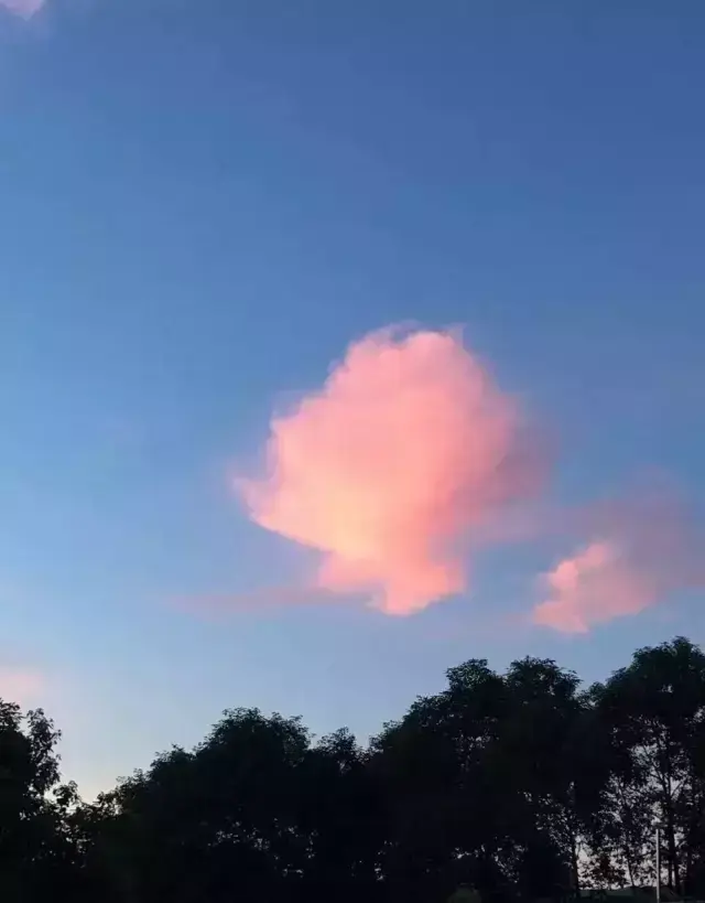 九天开出一成都是李白的哪首诗，九天开出一成都出自李白的哪首诗（李白“九天开出一成都”盛景再现）