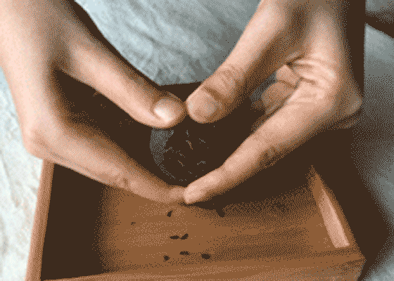 普洱茶小青柑普洱茶怎么喝，小青柑普洱茶怎样泡（史上最强小青柑泡法大全）