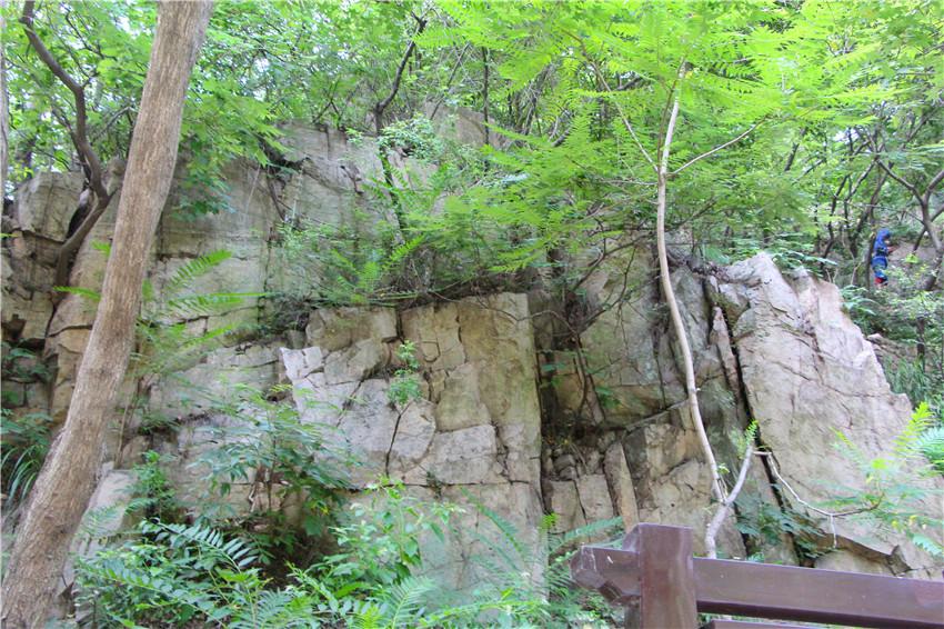 龙潭大峡谷在哪，龙潭大峡谷在哪里（日照九仙山龙潭大峡谷）