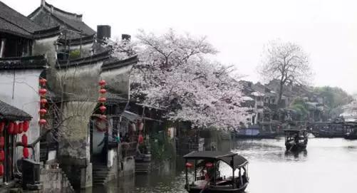 赏樱花的地方排行榜，眼下你最该去的地方