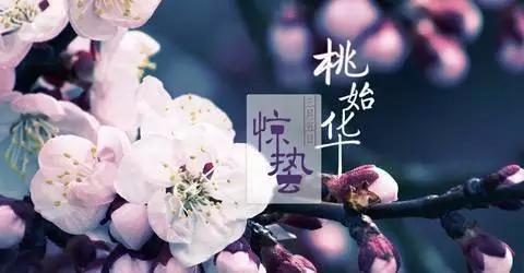 惊蛰时节吃什么好(大寒养生吃什么最好)