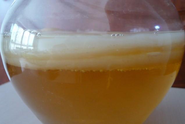 海宝菌怎么养，海宝菌怎么养殖方法（流行于上世纪七十年代的红茶菌）