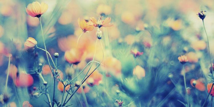 女儿生日祝福语简短，国庆节女儿生日祝福语简短（女儿25岁生日祝福语）