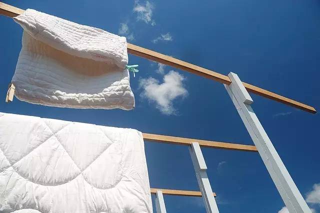 除螨仪吸出来的粉末是什么，除螨仪是智商税吗（你以为晒被子就能杀死螨虫）