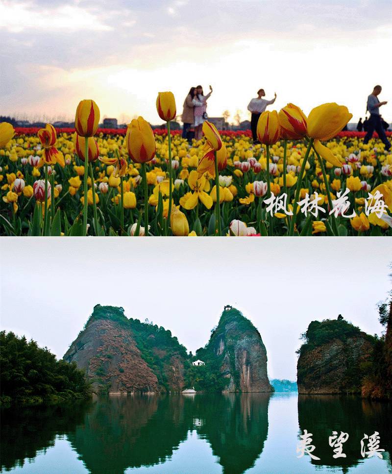 常德适合一日游的地方，常德市一日游必去景点（最新亲亲常德一日游线路大全）