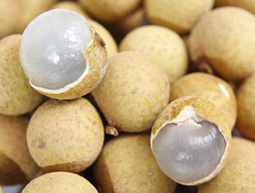 鲜桂圆怎么保存，鲜桂圆怎么保存变成龙眼（新鲜龙眼可以放多久）