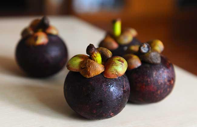 山竹皮的功效，山竹皮功效作用（山竹皮的功效与作用是什么）