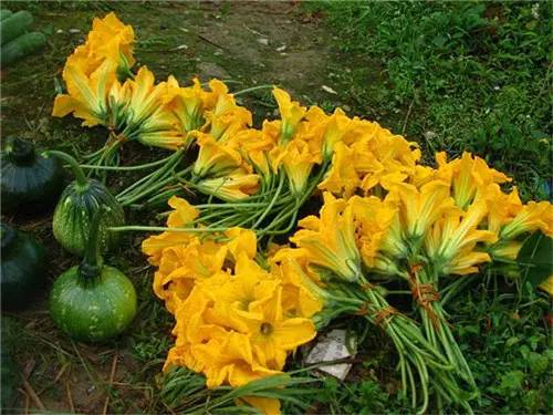 扫把菌怎么做好吃，扫把菌怎么洗（盘点最常吃的野生“界儿”）