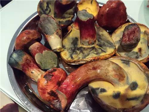 扫把菌怎么做好吃，扫把菌怎么洗（盘点最常吃的野生“界儿”）