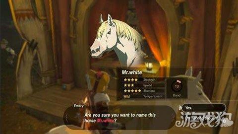 塞尔达白马要多少体力，塞尔达传说荒野之息白马要多少体力（塞尔达传说荒野之息白马获取方法与位置图文介绍）