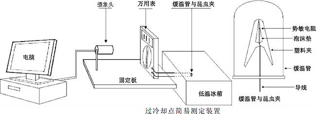 越冬是什么意思，迁徙是什么意思（揭秘昆虫越冬术）