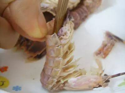 温州皮皮虾直播，“小吃货”发明剥虾神器