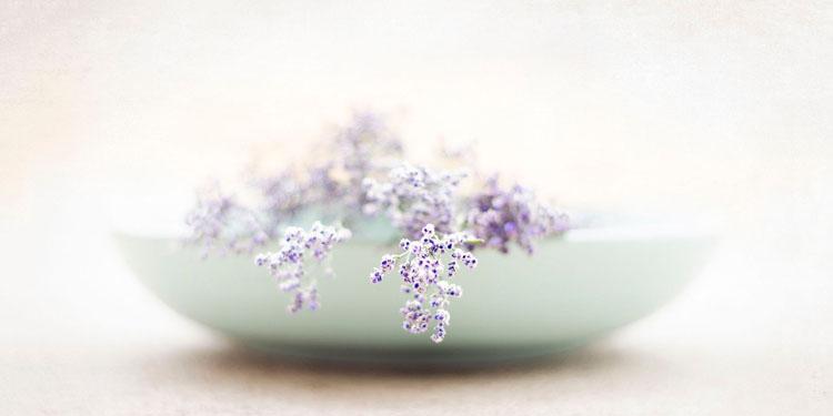 属鼠的和属马的配吗，属鼠与属虎的婚配如何（84男鼠和90女马相配吗）