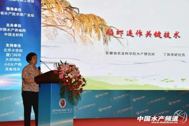 淡水小龙虾养殖技术，2021年澳洲淡水小龙虾养殖攻略（淡水小龙虾高产高效健康养殖关键技术）