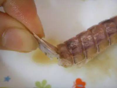 温州皮皮虾直播，“小吃货”发明剥虾神器