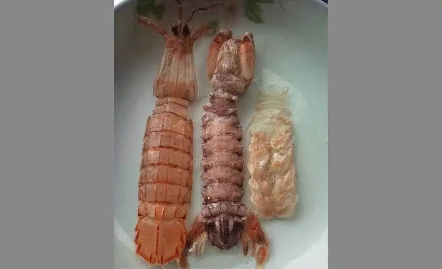 温州皮皮虾直播，“小吃货”发明剥虾神器