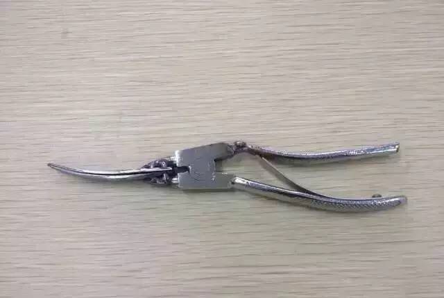温州皮皮虾直播，“小吃货”发明剥虾神器
